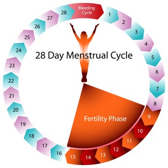 Seks za vrijeme menstruacije